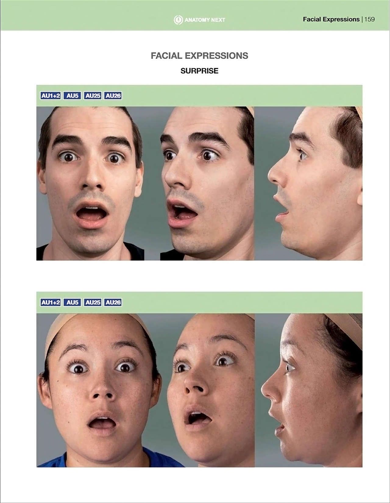 Uldis Zarins-Anatomy of Facial Expression-Exonicus [English] 面部表情艺用解剖 [英文版] 161