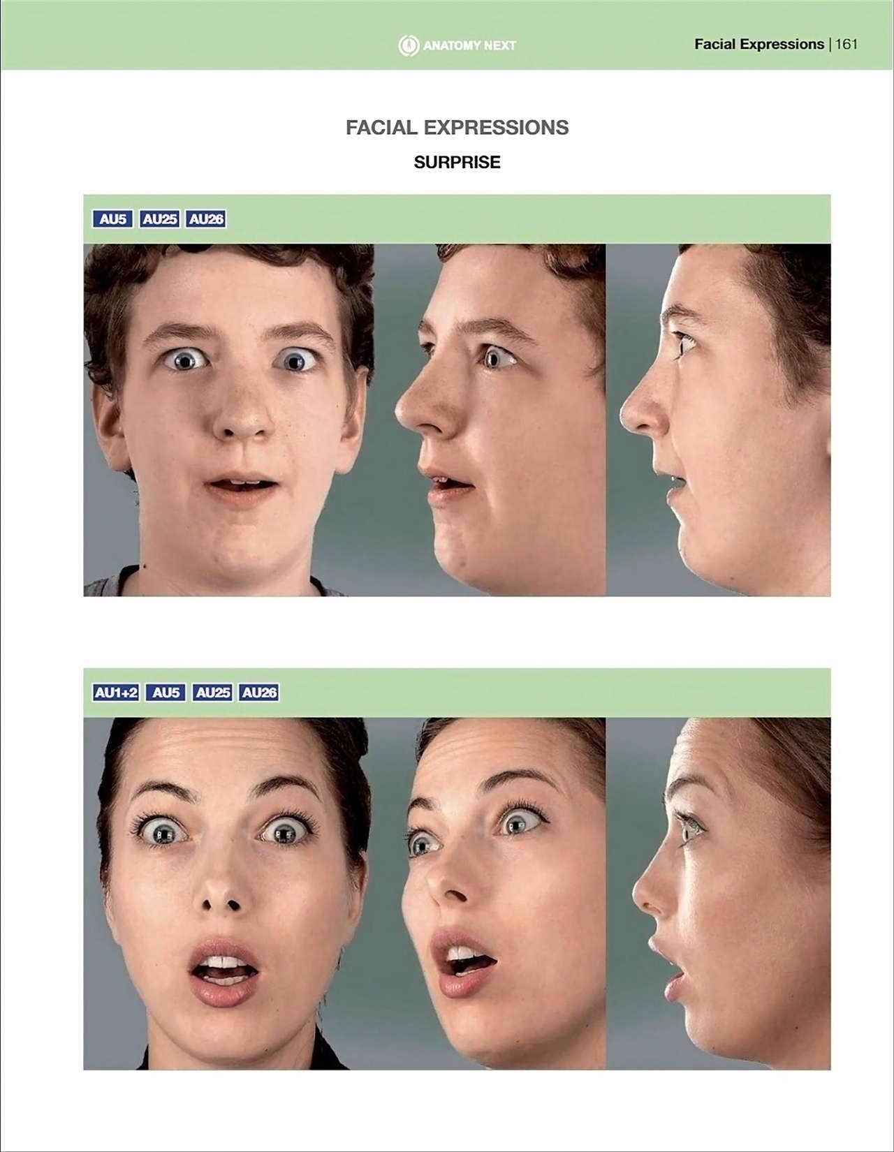 Uldis Zarins-Anatomy of Facial Expression-Exonicus [English] 面部表情艺用解剖 [英文版] 163