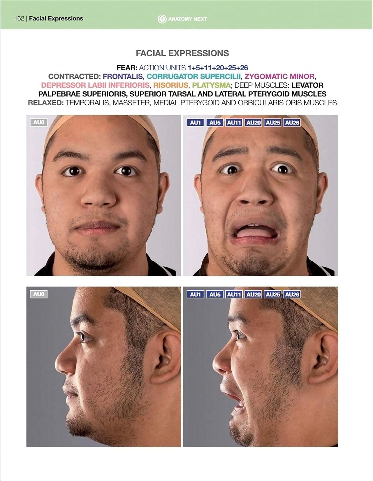 Uldis Zarins-Anatomy of Facial Expression-Exonicus [English] 面部表情艺用解剖 [英文版] 164
