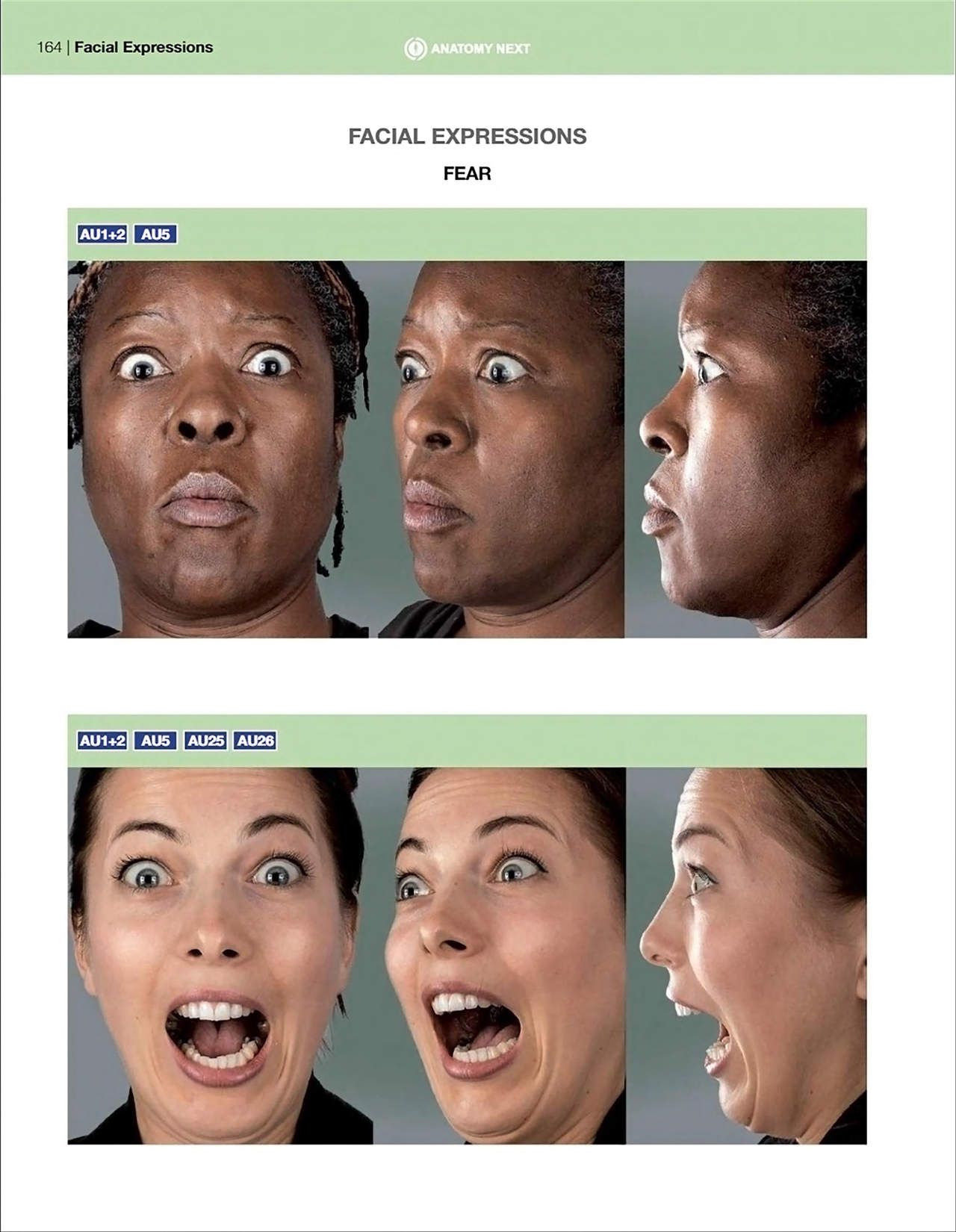 Uldis Zarins-Anatomy of Facial Expression-Exonicus [English] 面部表情艺用解剖 [英文版] 166