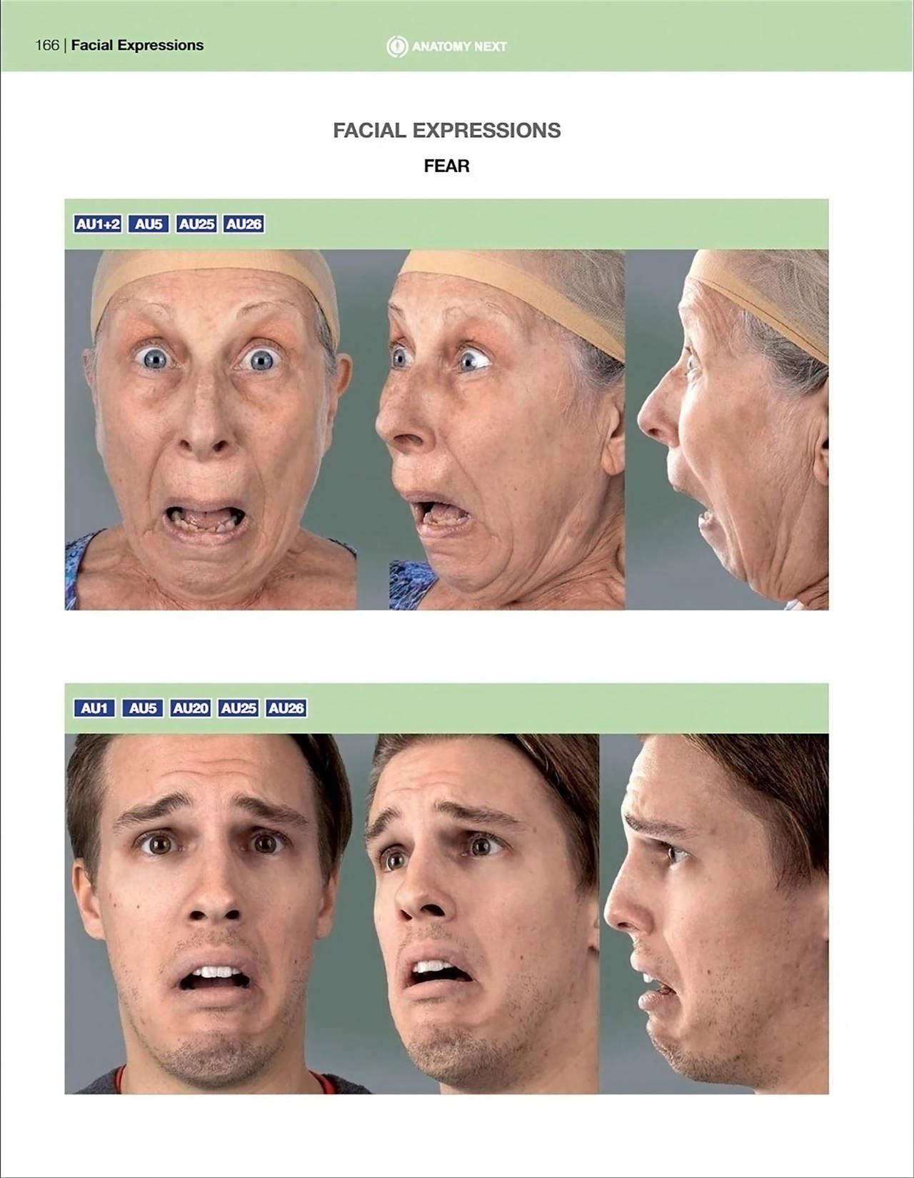 Uldis Zarins-Anatomy of Facial Expression-Exonicus [English] 面部表情艺用解剖 [英文版] 168