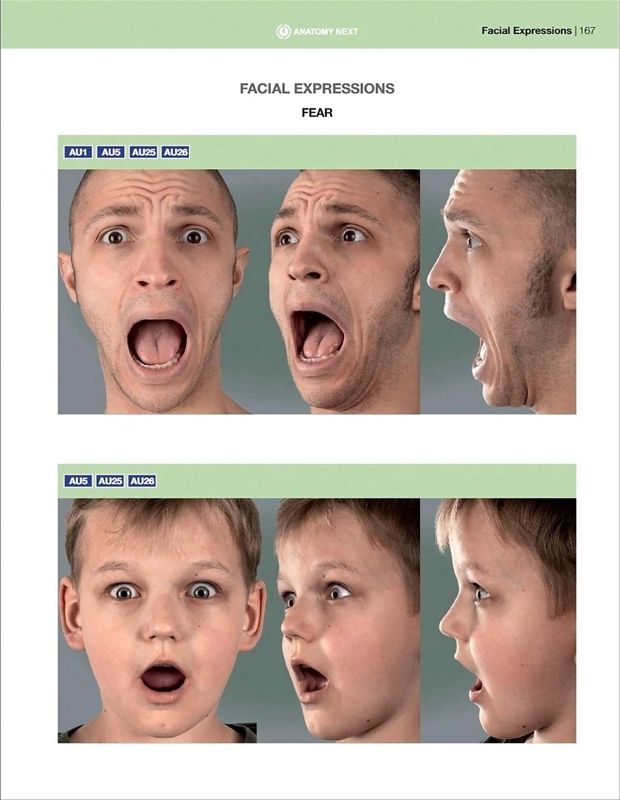Uldis Zarins-Anatomy of Facial Expression-Exonicus [English] 面部表情艺用解剖 [英文版] 169