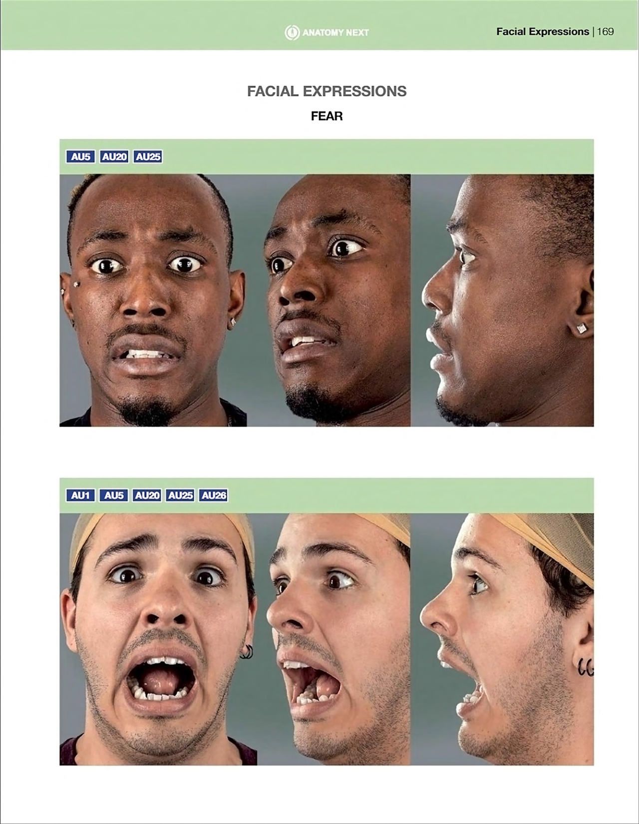 Uldis Zarins-Anatomy of Facial Expression-Exonicus [English] 面部表情艺用解剖 [英文版] 171