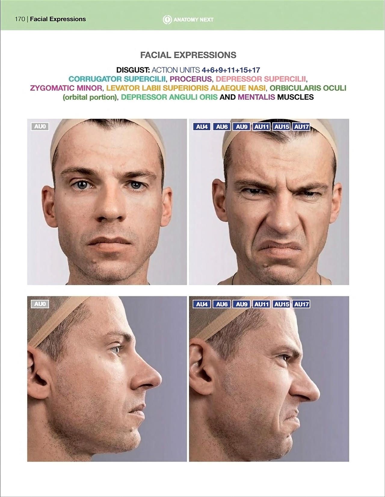 Uldis Zarins-Anatomy of Facial Expression-Exonicus [English] 面部表情艺用解剖 [英文版] 172
