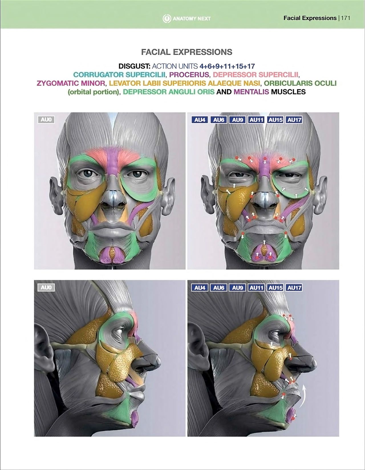 Uldis Zarins-Anatomy of Facial Expression-Exonicus [English] 面部表情艺用解剖 [英文版] 173