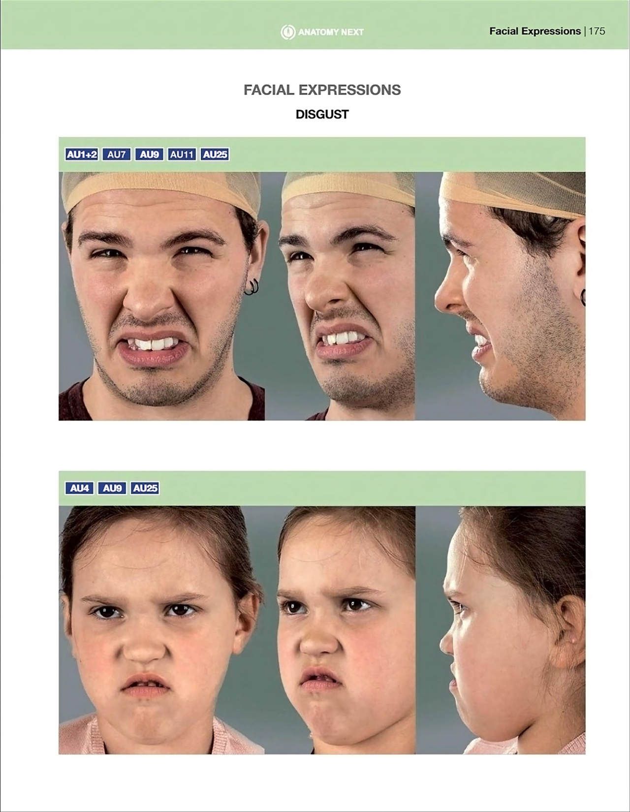 Uldis Zarins-Anatomy of Facial Expression-Exonicus [English] 面部表情艺用解剖 [英文版] 177