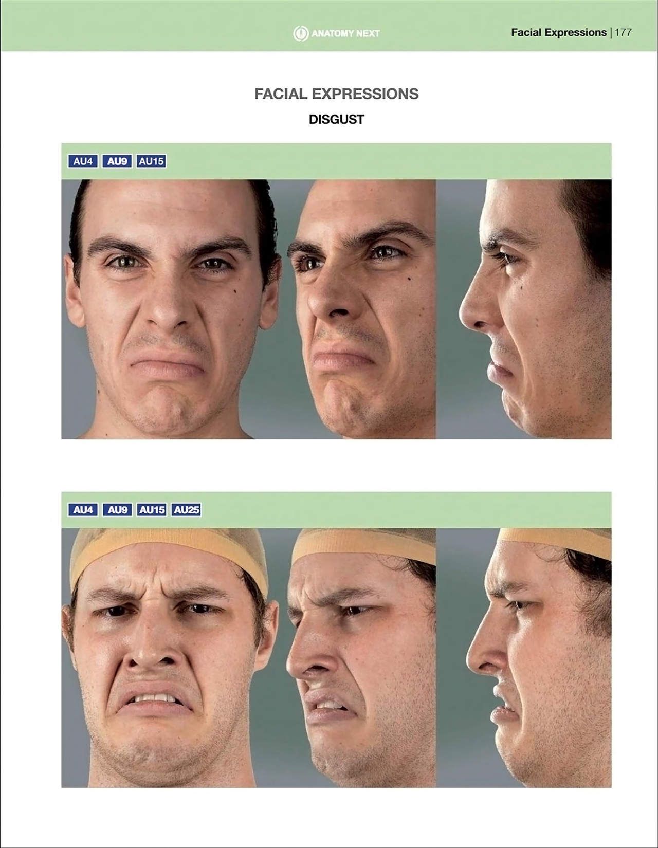 Uldis Zarins-Anatomy of Facial Expression-Exonicus [English] 面部表情艺用解剖 [英文版] 179