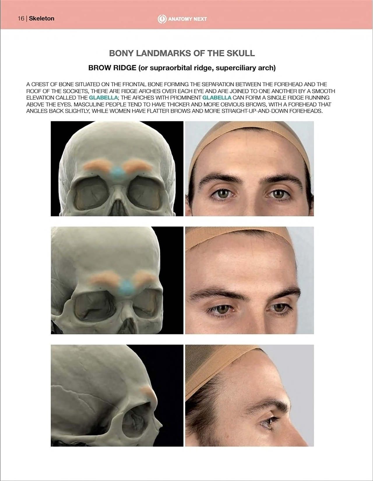 Uldis Zarins-Anatomy of Facial Expression-Exonicus [English] 面部表情艺用解剖 [英文版] 18