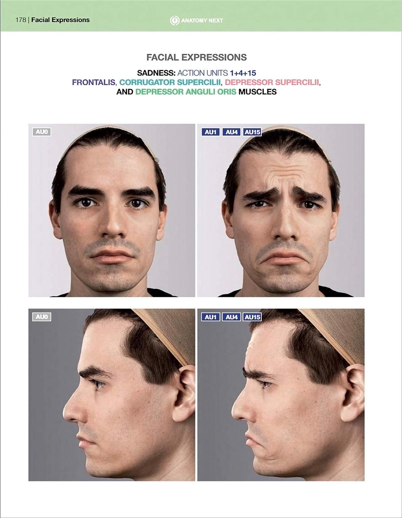 Uldis Zarins-Anatomy of Facial Expression-Exonicus [English] 面部表情艺用解剖 [英文版] 180
