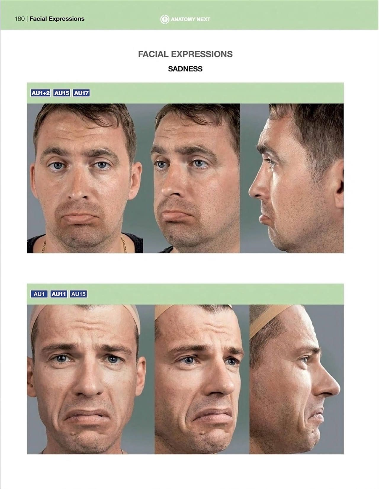 Uldis Zarins-Anatomy of Facial Expression-Exonicus [English] 面部表情艺用解剖 [英文版] 182