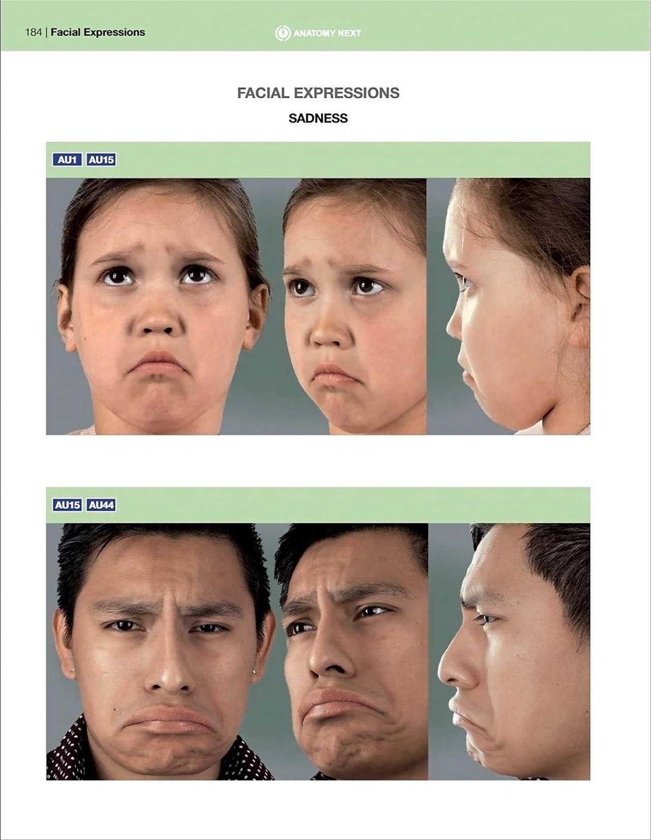 Uldis Zarins-Anatomy of Facial Expression-Exonicus [English] 面部表情艺用解剖 [英文版] 186