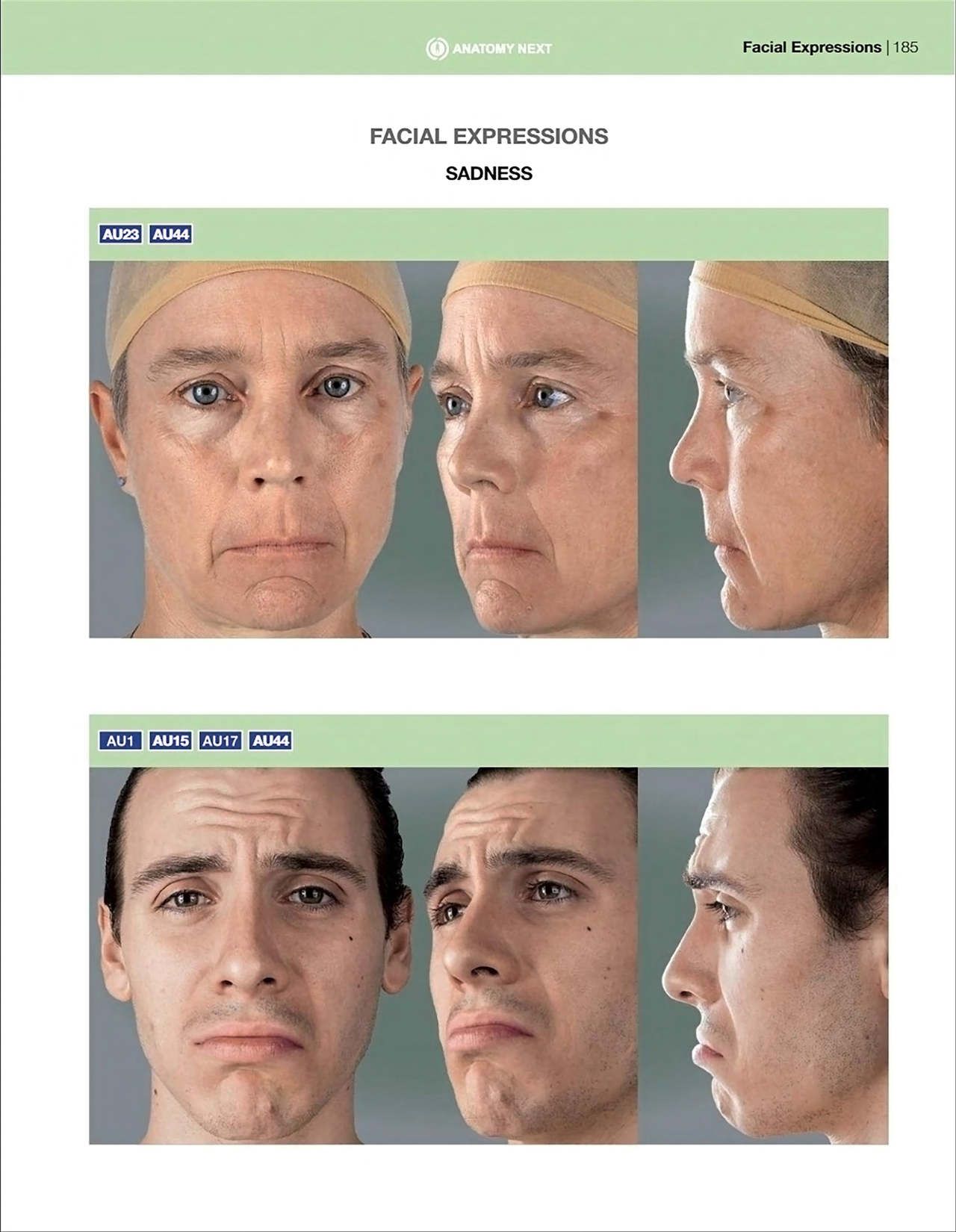 Uldis Zarins-Anatomy of Facial Expression-Exonicus [English] 面部表情艺用解剖 [英文版] 187