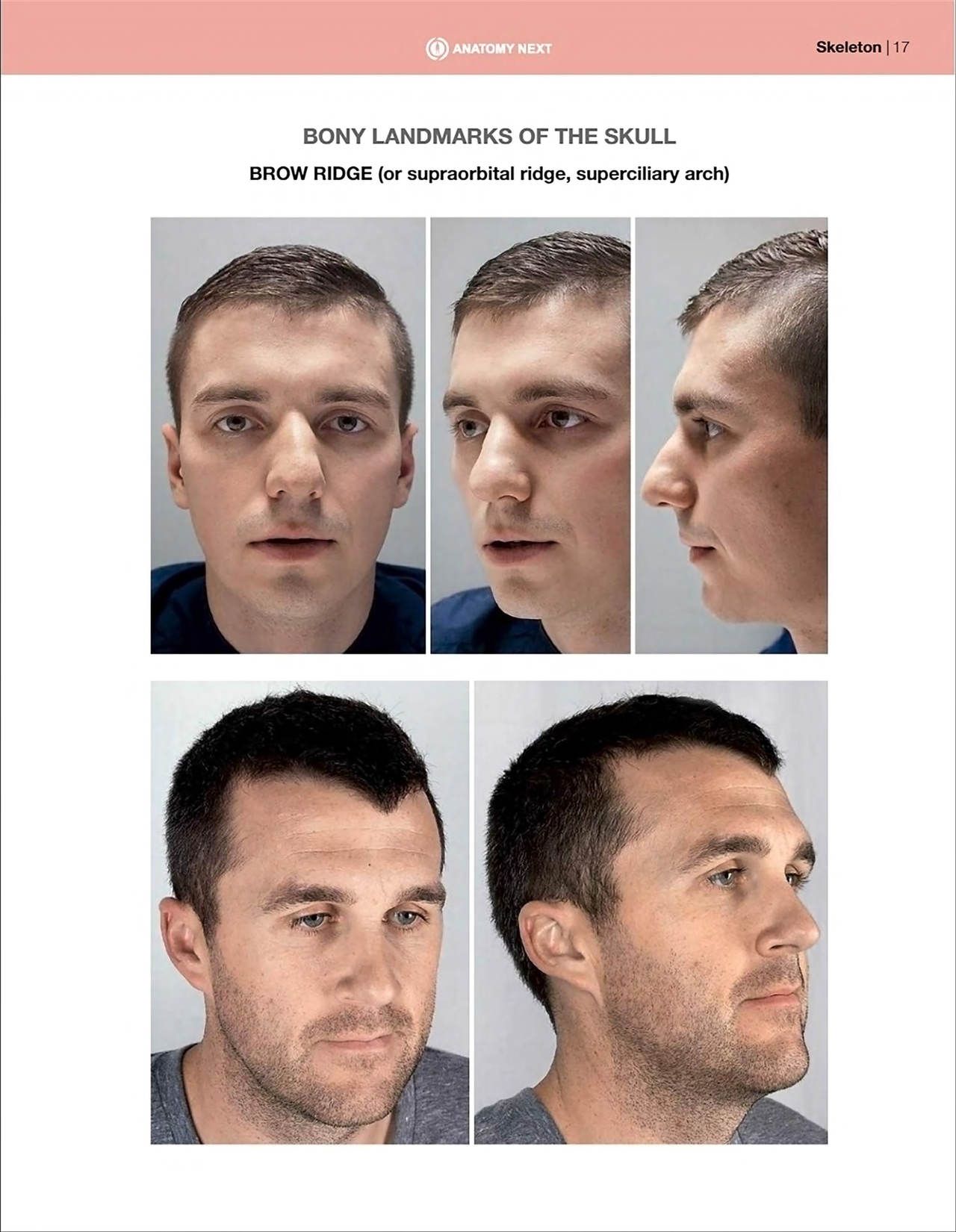Uldis Zarins-Anatomy of Facial Expression-Exonicus [English] 面部表情艺用解剖 [英文版] 19