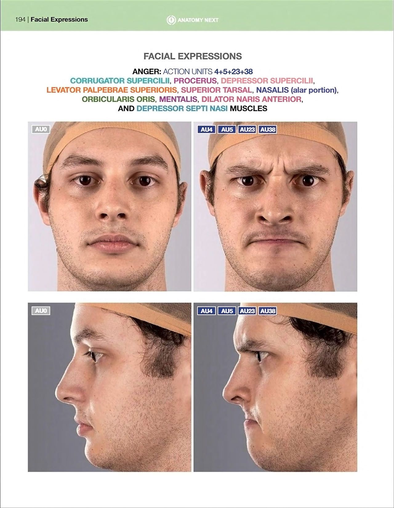 Uldis Zarins-Anatomy of Facial Expression-Exonicus [English] 面部表情艺用解剖 [英文版] 196
