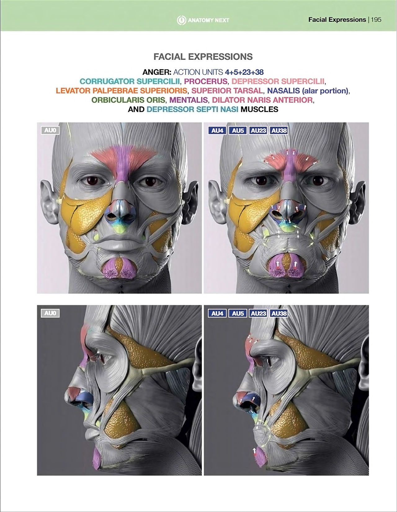 Uldis Zarins-Anatomy of Facial Expression-Exonicus [English] 面部表情艺用解剖 [英文版] 197