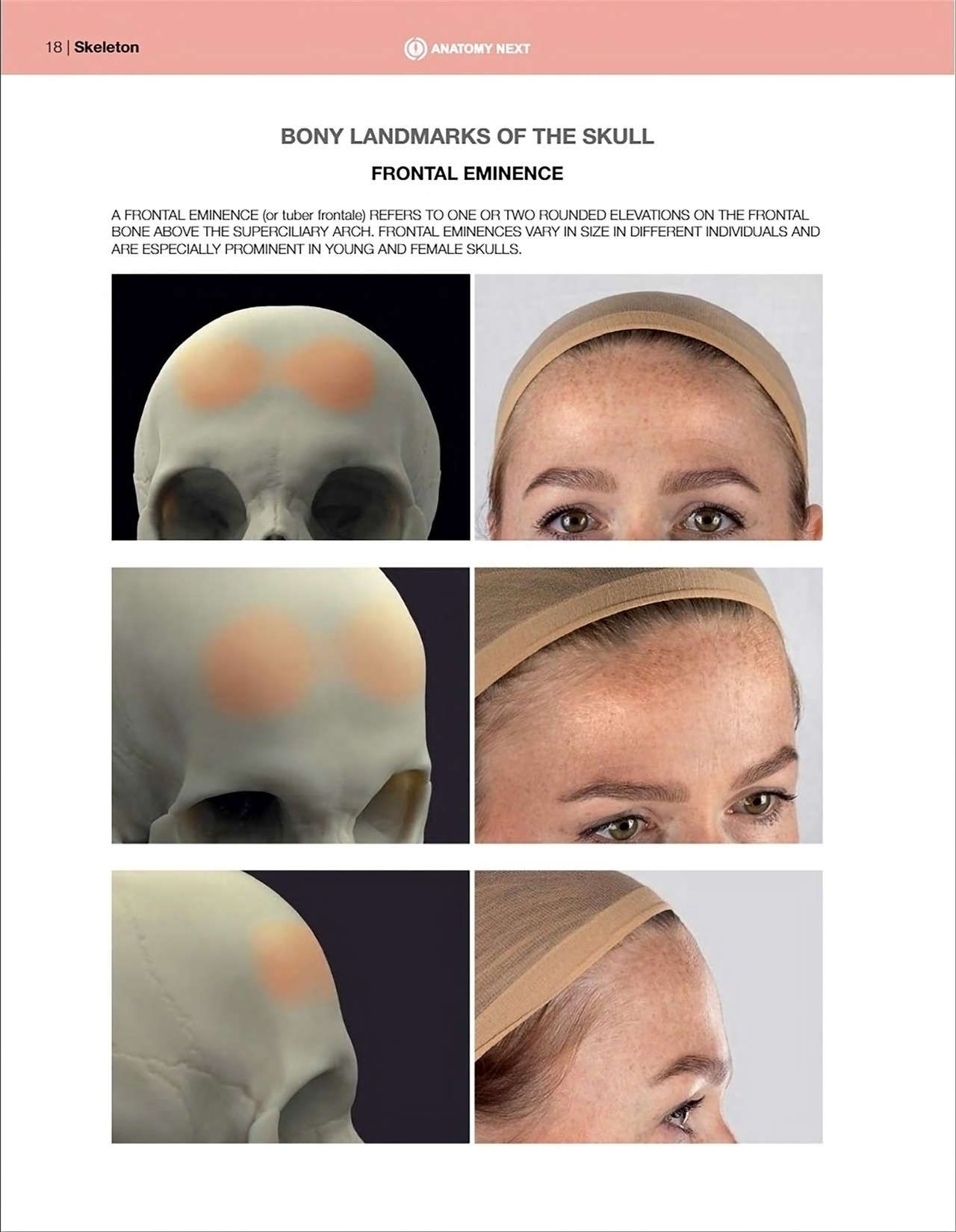 Uldis Zarins-Anatomy of Facial Expression-Exonicus [English] 面部表情艺用解剖 [英文版] 20