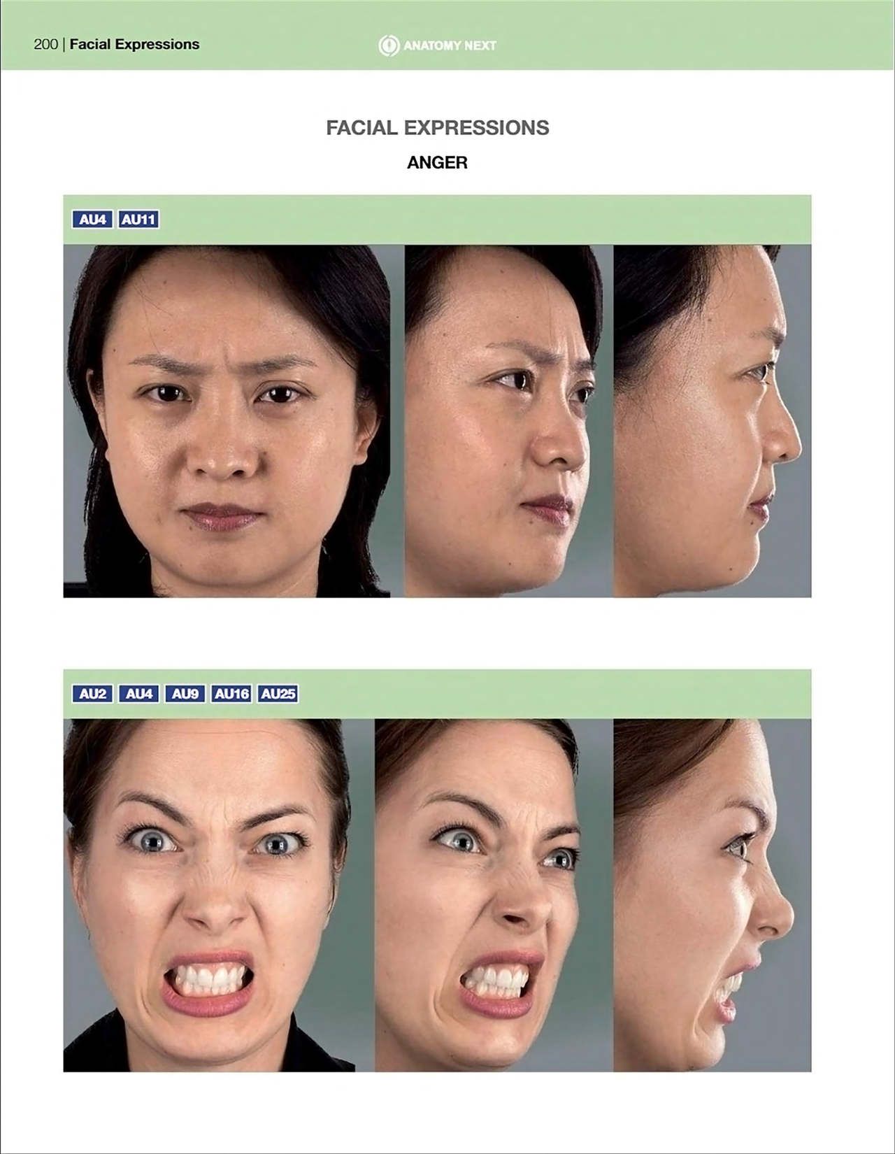 Uldis Zarins-Anatomy of Facial Expression-Exonicus [English] 面部表情艺用解剖 [英文版] 202