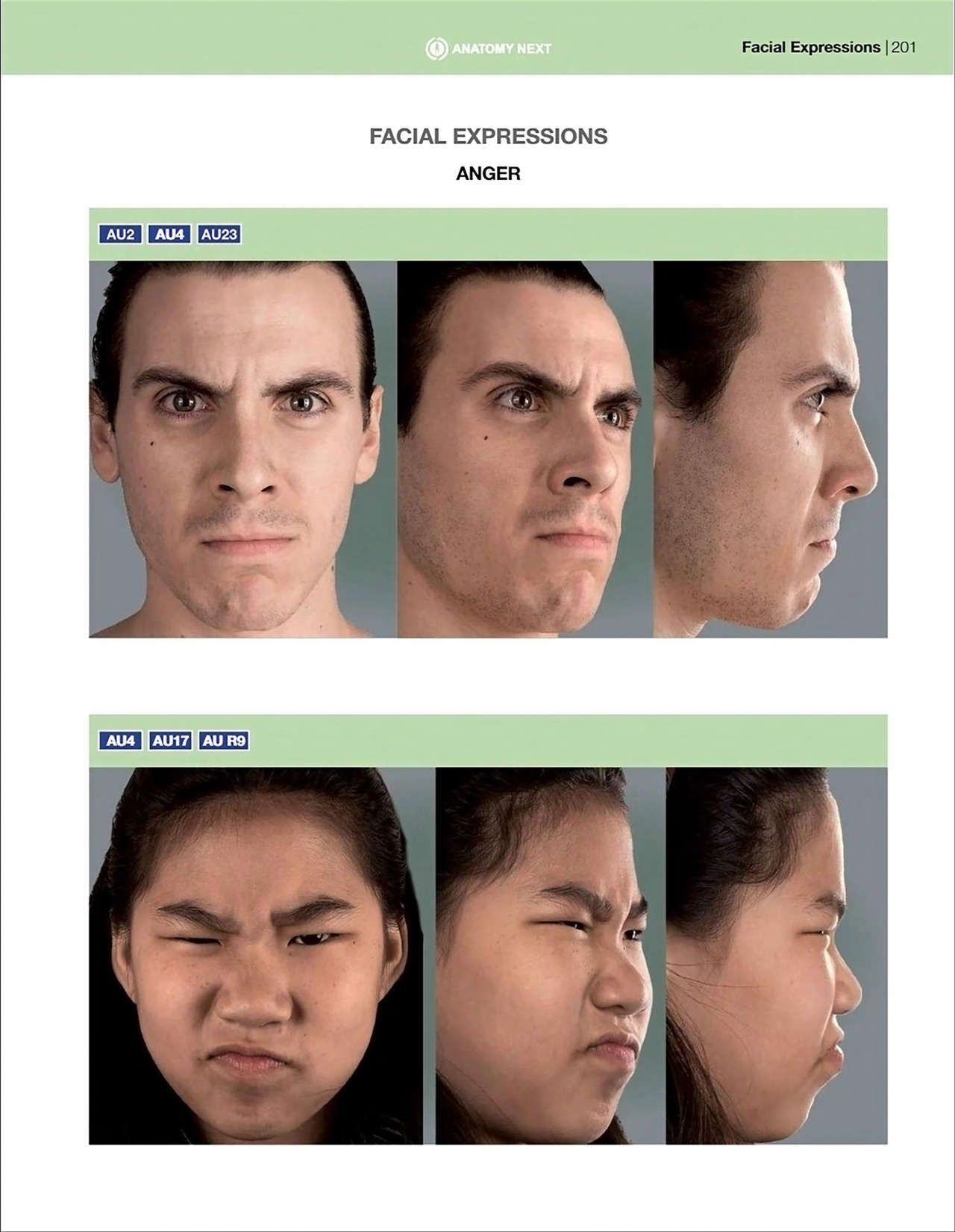 Uldis Zarins-Anatomy of Facial Expression-Exonicus [English] 面部表情艺用解剖 [英文版] 203
