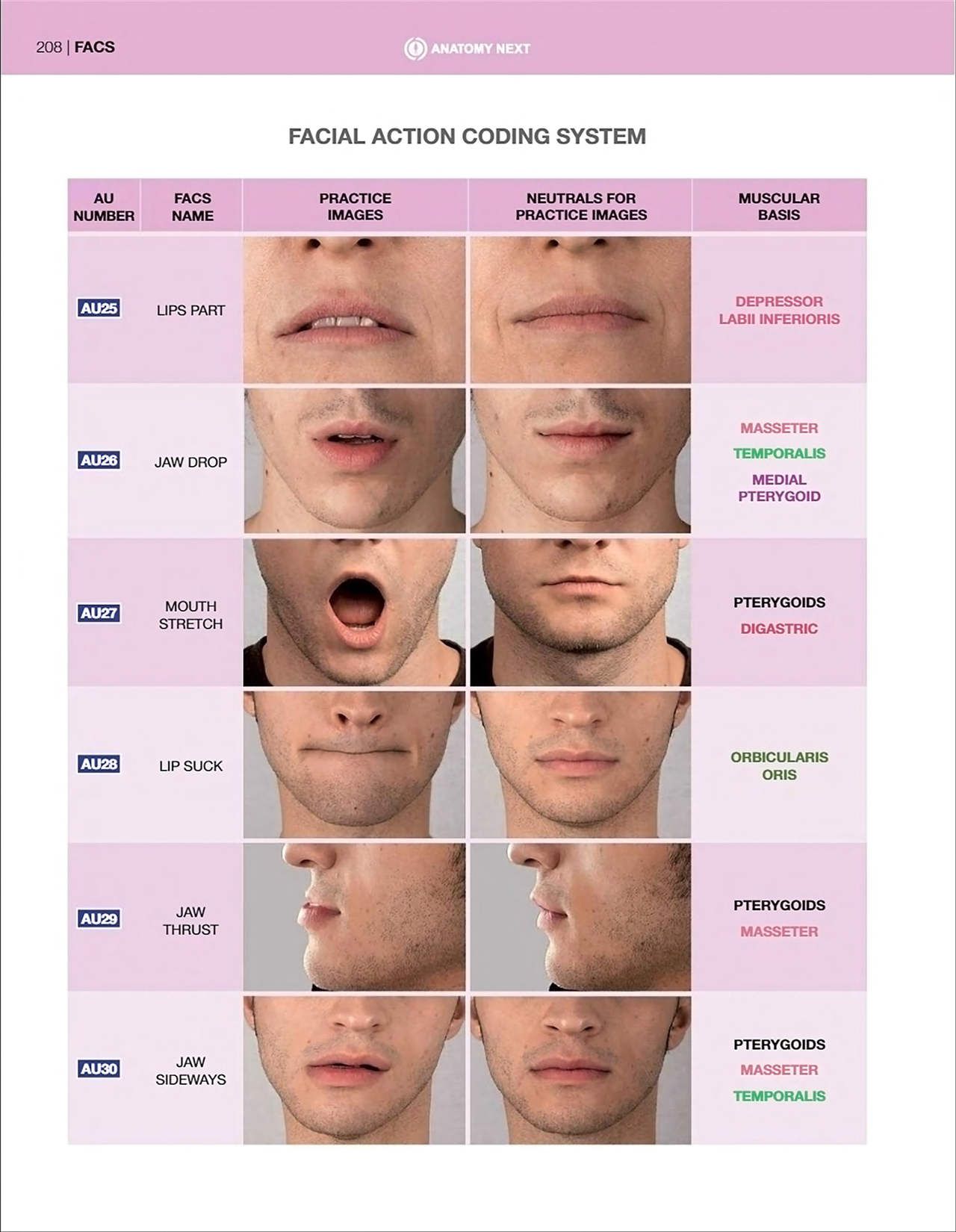 Uldis Zarins-Anatomy of Facial Expression-Exonicus [English] 面部表情艺用解剖 [英文版] 210