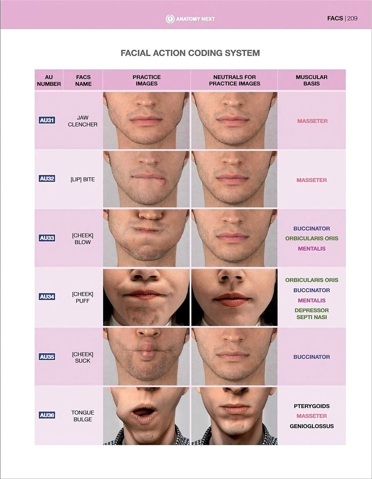 Uldis Zarins-Anatomy of Facial Expression-Exonicus [English] 面部表情艺用解剖 [英文版] 211