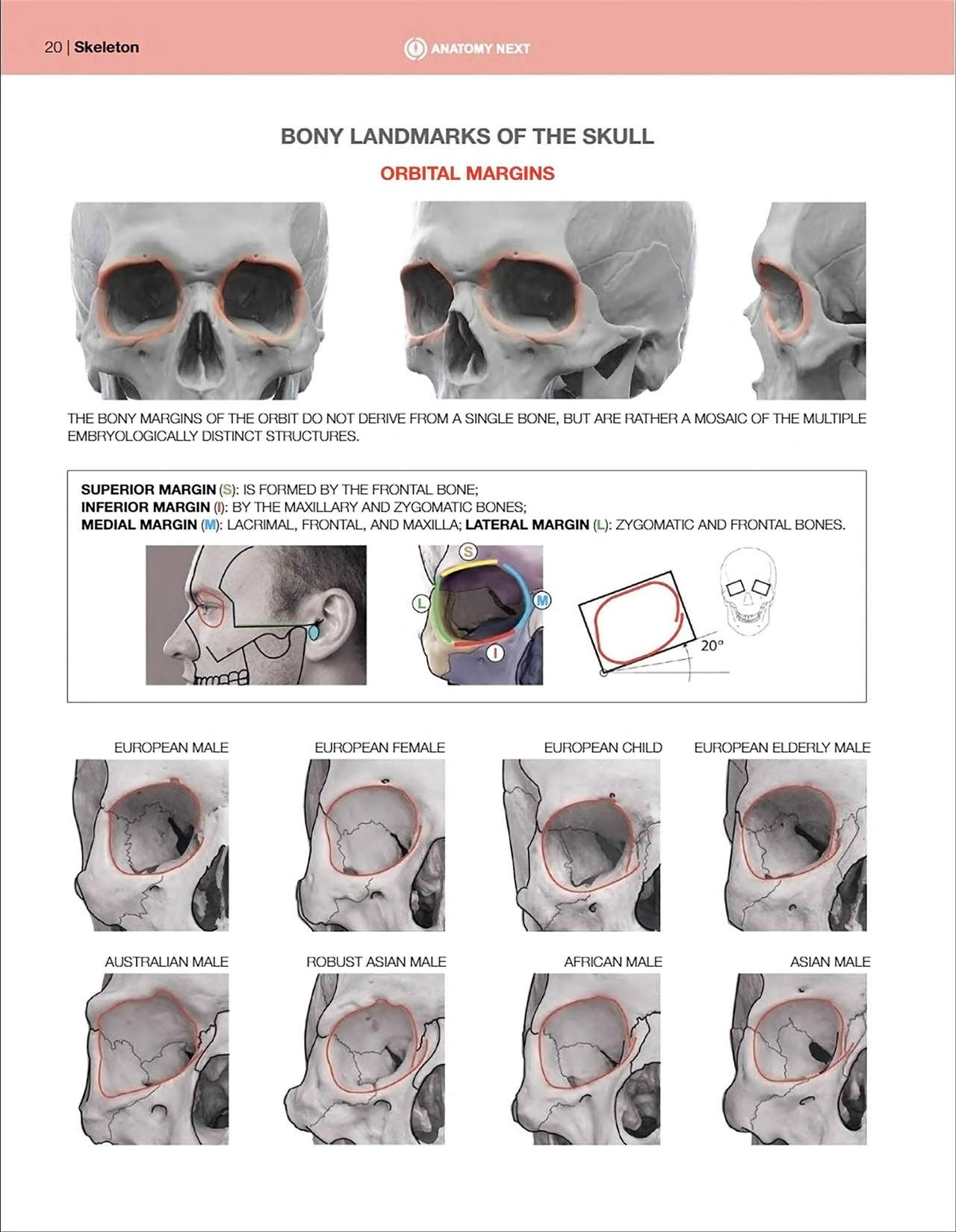 Uldis Zarins-Anatomy of Facial Expression-Exonicus [English] 面部表情艺用解剖 [英文版] 22