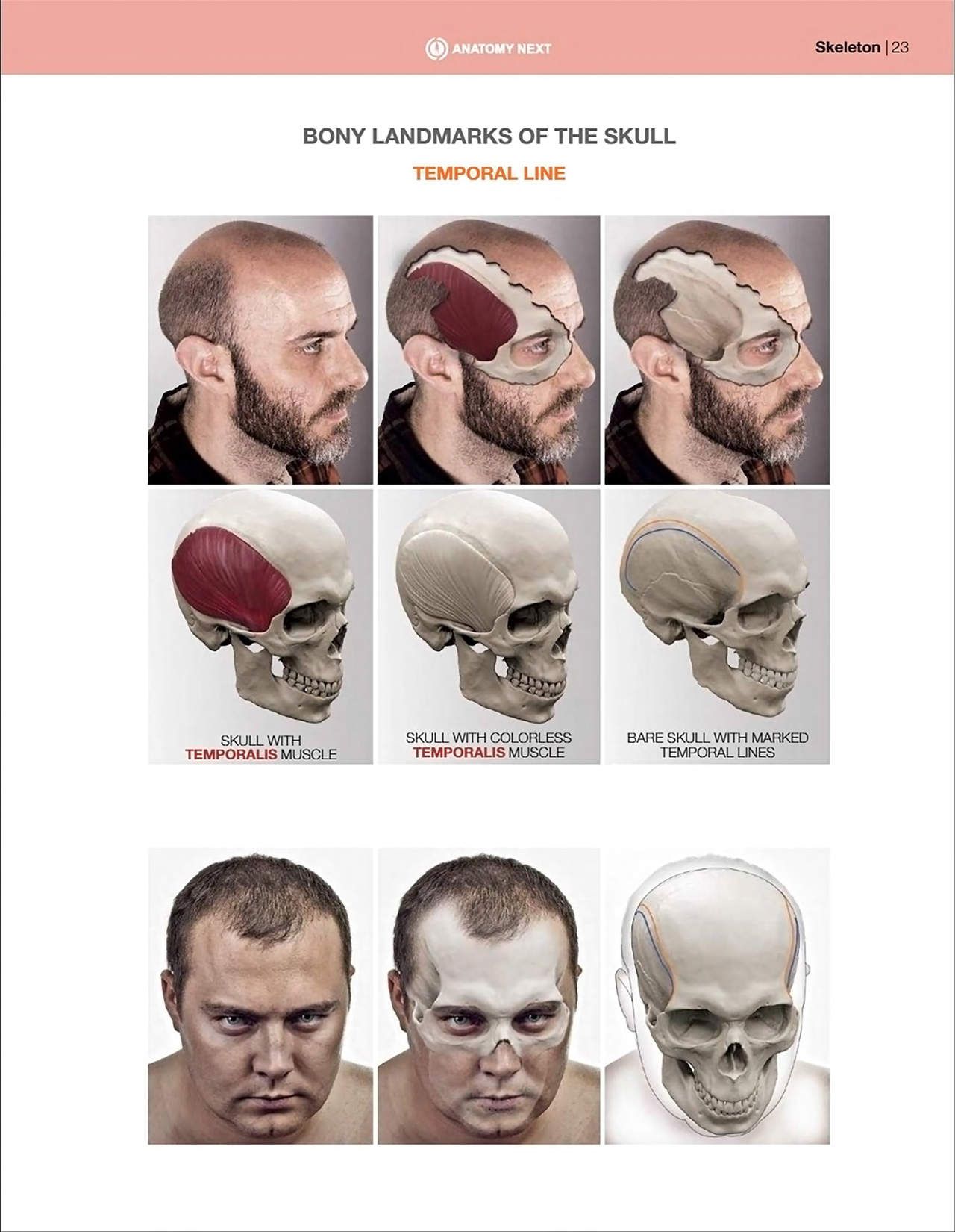 Uldis Zarins-Anatomy of Facial Expression-Exonicus [English] 面部表情艺用解剖 [英文版] 25