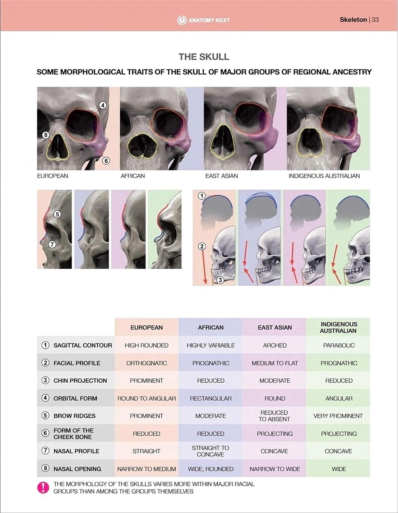 Uldis Zarins-Anatomy of Facial Expression-Exonicus [English] 面部表情艺用解剖 [英文版] 35