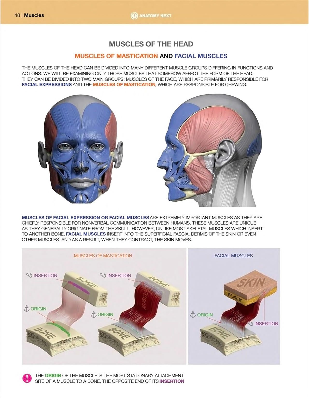 Uldis Zarins-Anatomy of Facial Expression-Exonicus [English] 面部表情艺用解剖 [英文版] 50