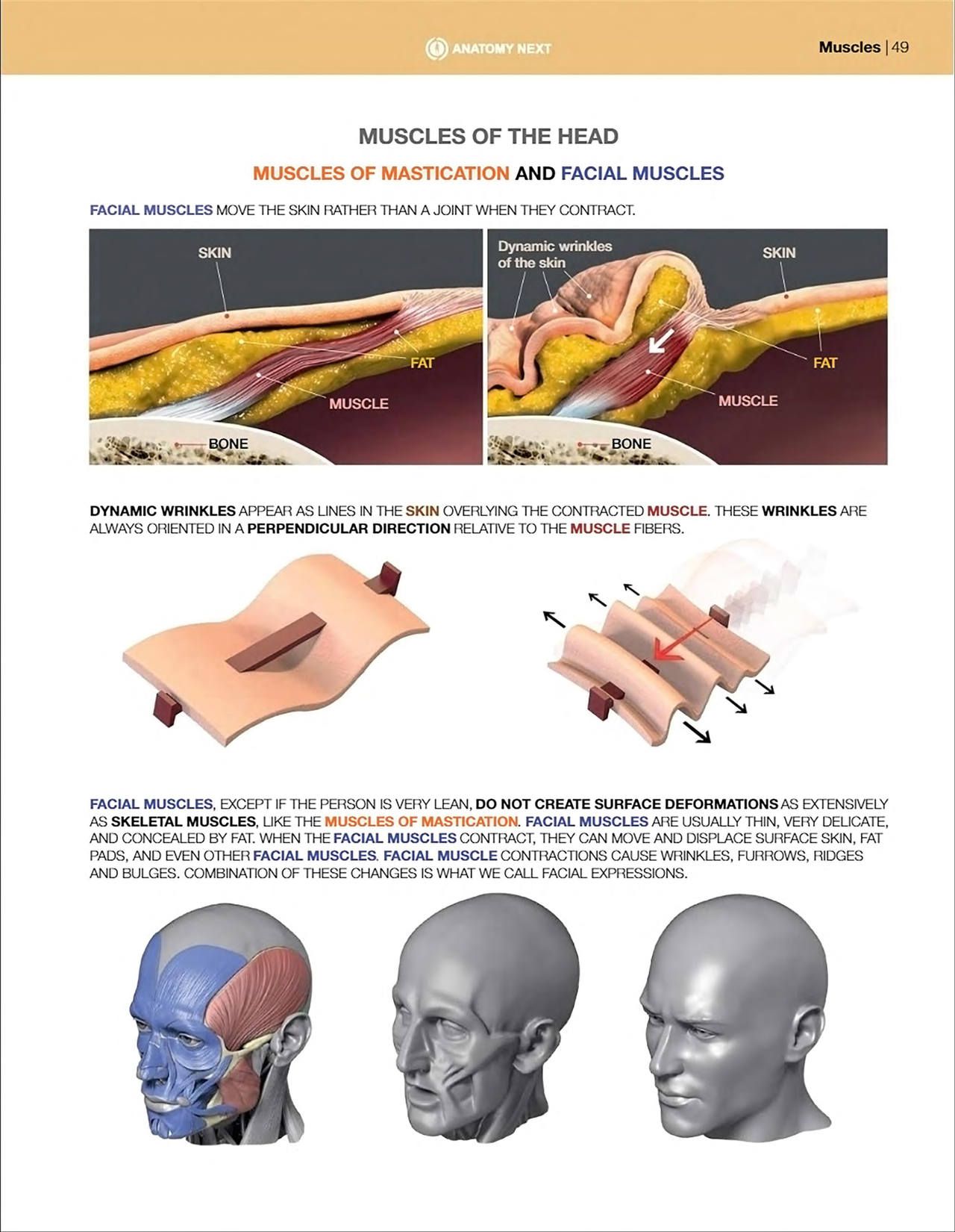 Uldis Zarins-Anatomy of Facial Expression-Exonicus [English] 面部表情艺用解剖 [英文版] 51