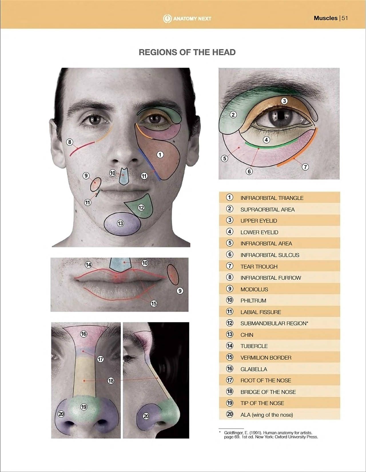 Uldis Zarins-Anatomy of Facial Expression-Exonicus [English] 面部表情艺用解剖 [英文版] 53