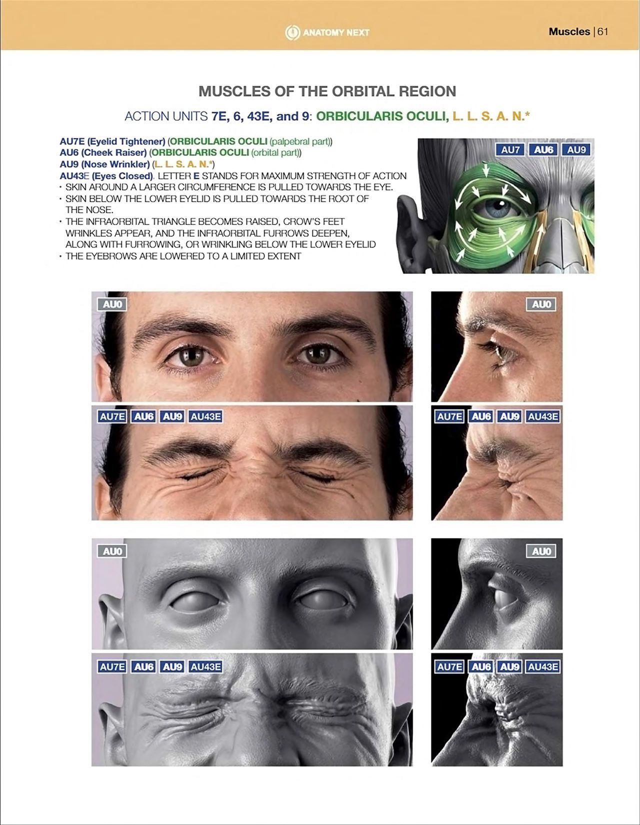 Uldis Zarins-Anatomy of Facial Expression-Exonicus [English] 面部表情艺用解剖 [英文版] 63