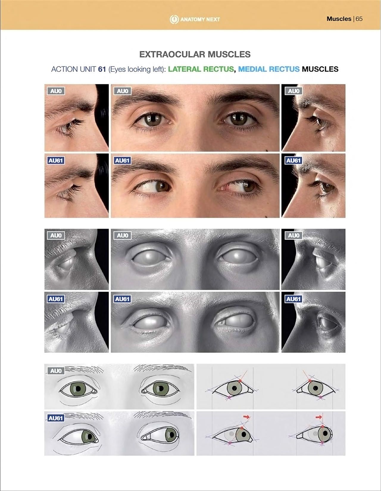 Uldis Zarins-Anatomy of Facial Expression-Exonicus [English] 面部表情艺用解剖 [英文版] 67