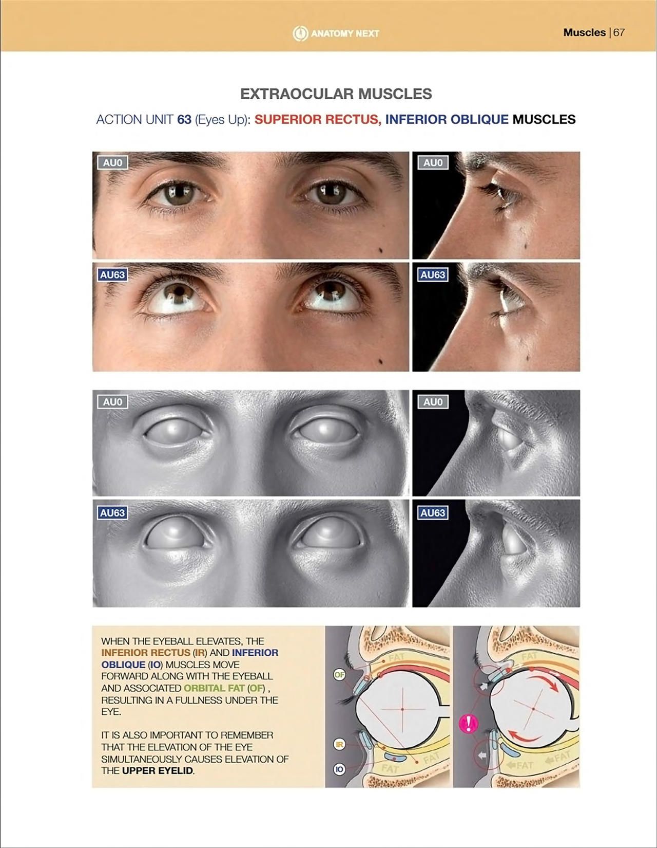 Uldis Zarins-Anatomy of Facial Expression-Exonicus [English] 面部表情艺用解剖 [英文版] 69