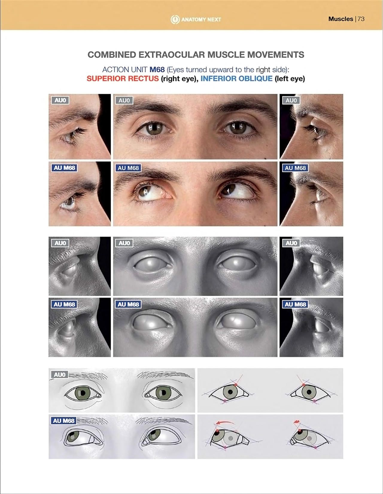 Uldis Zarins-Anatomy of Facial Expression-Exonicus [English] 面部表情艺用解剖 [英文版] 75