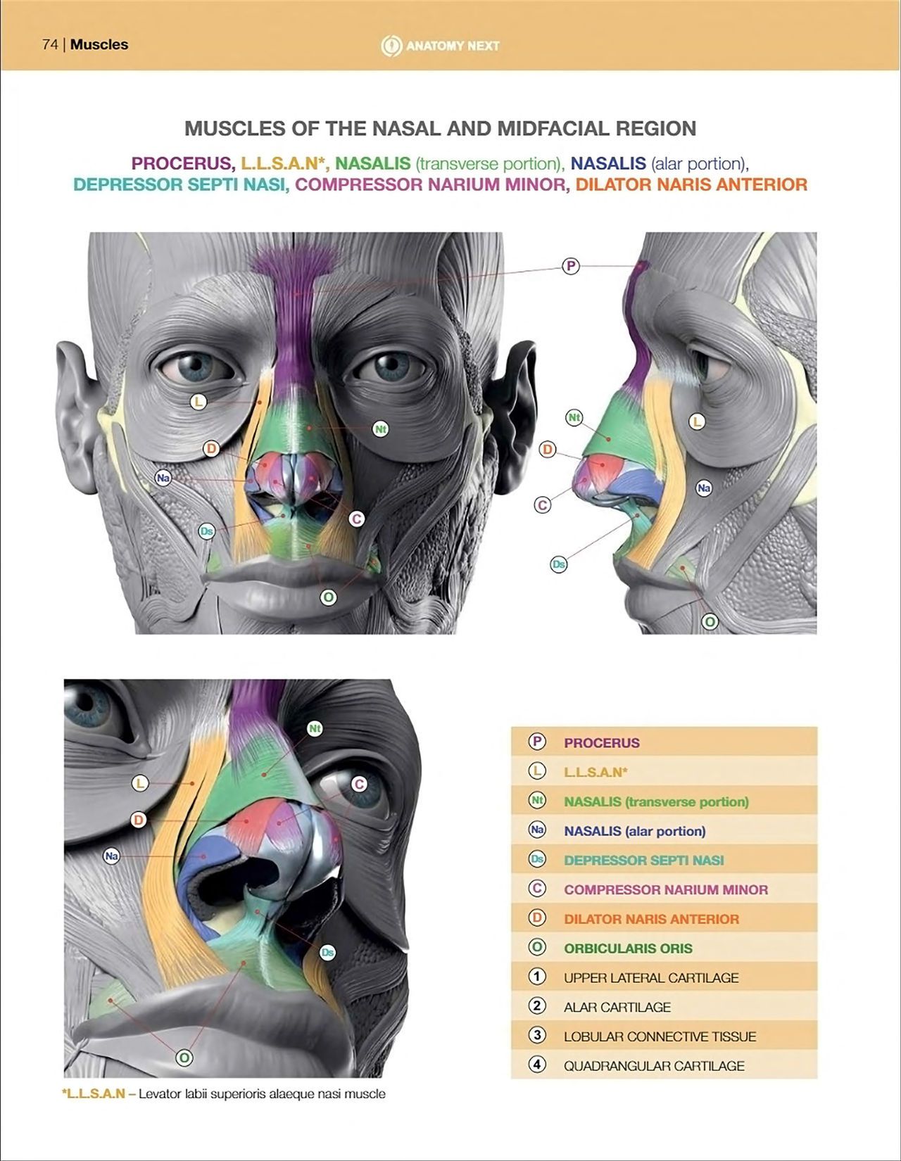 Uldis Zarins-Anatomy of Facial Expression-Exonicus [English] 面部表情艺用解剖 [英文版] 76