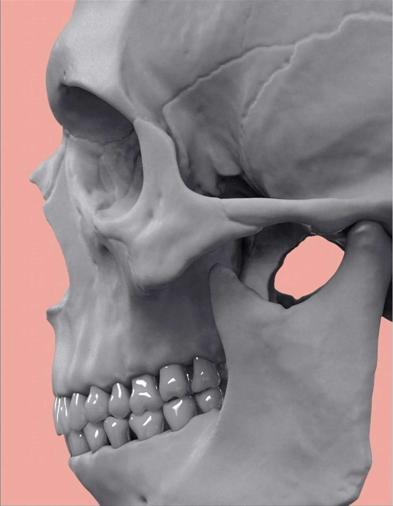 Uldis Zarins-Anatomy of Facial Expression-Exonicus [English] 面部表情艺用解剖 [英文版] 8