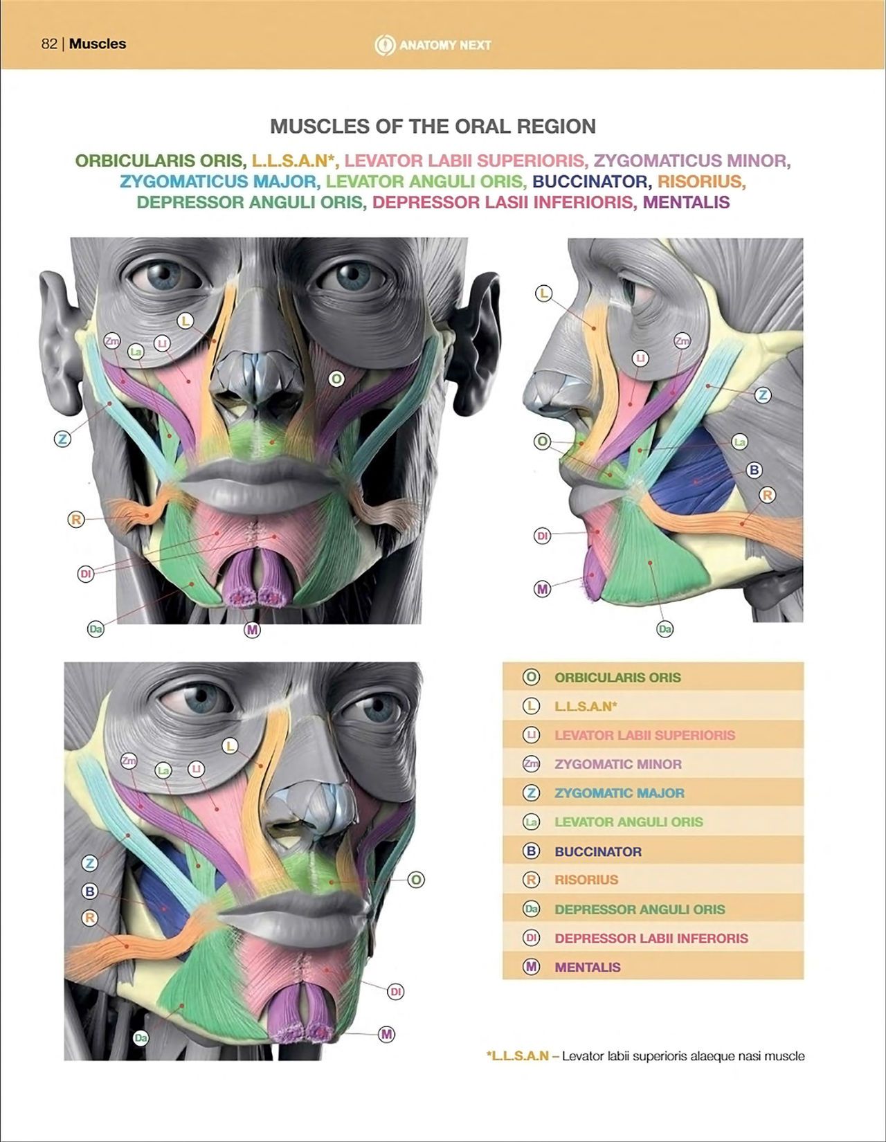 Uldis Zarins-Anatomy of Facial Expression-Exonicus [English] 面部表情艺用解剖 [英文版] 84
