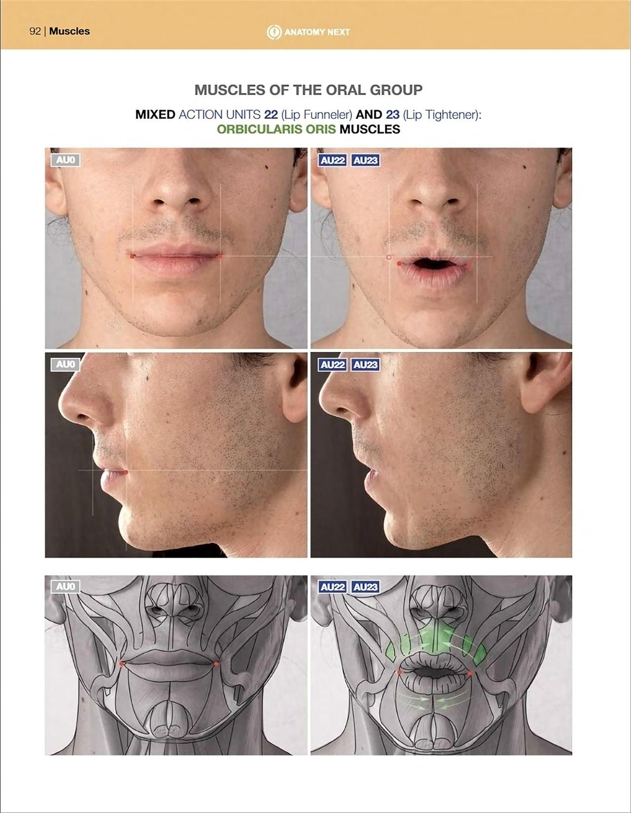 Uldis Zarins-Anatomy of Facial Expression-Exonicus [English] 面部表情艺用解剖 [英文版] 94