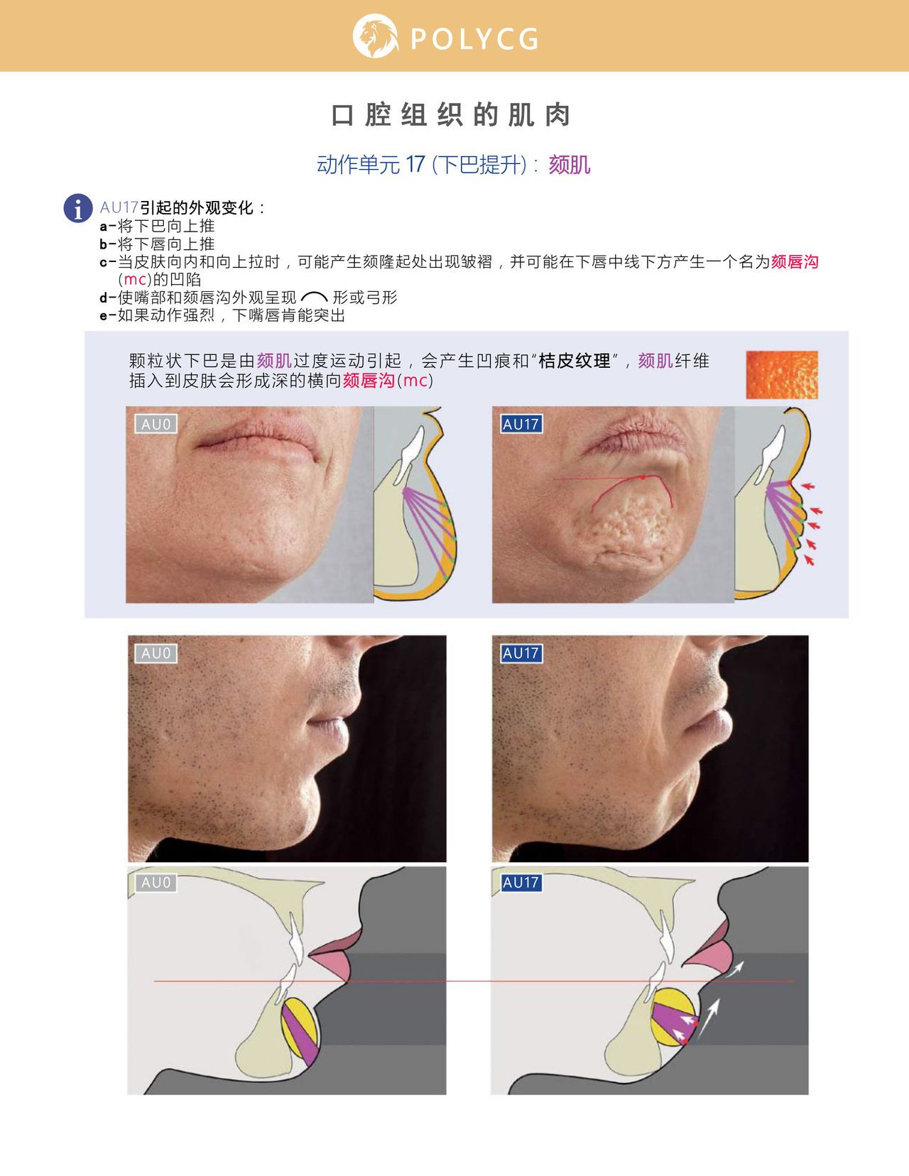 Uldis Zarins-Anatomy of Facial Expression-Exonicus [Chinese] 面部表情艺用解剖 [中文版] 101