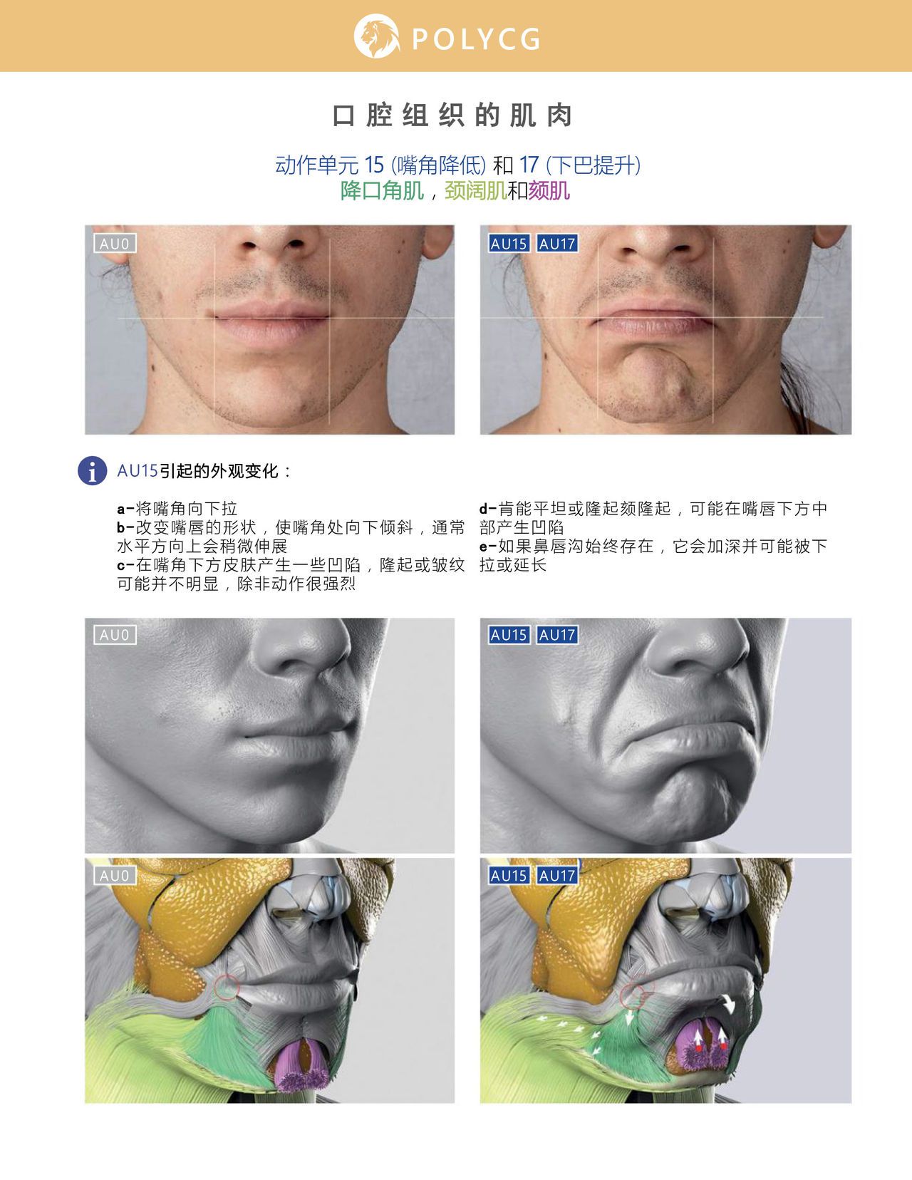 Uldis Zarins-Anatomy of Facial Expression-Exonicus [Chinese] 面部表情艺用解剖 [中文版] 103