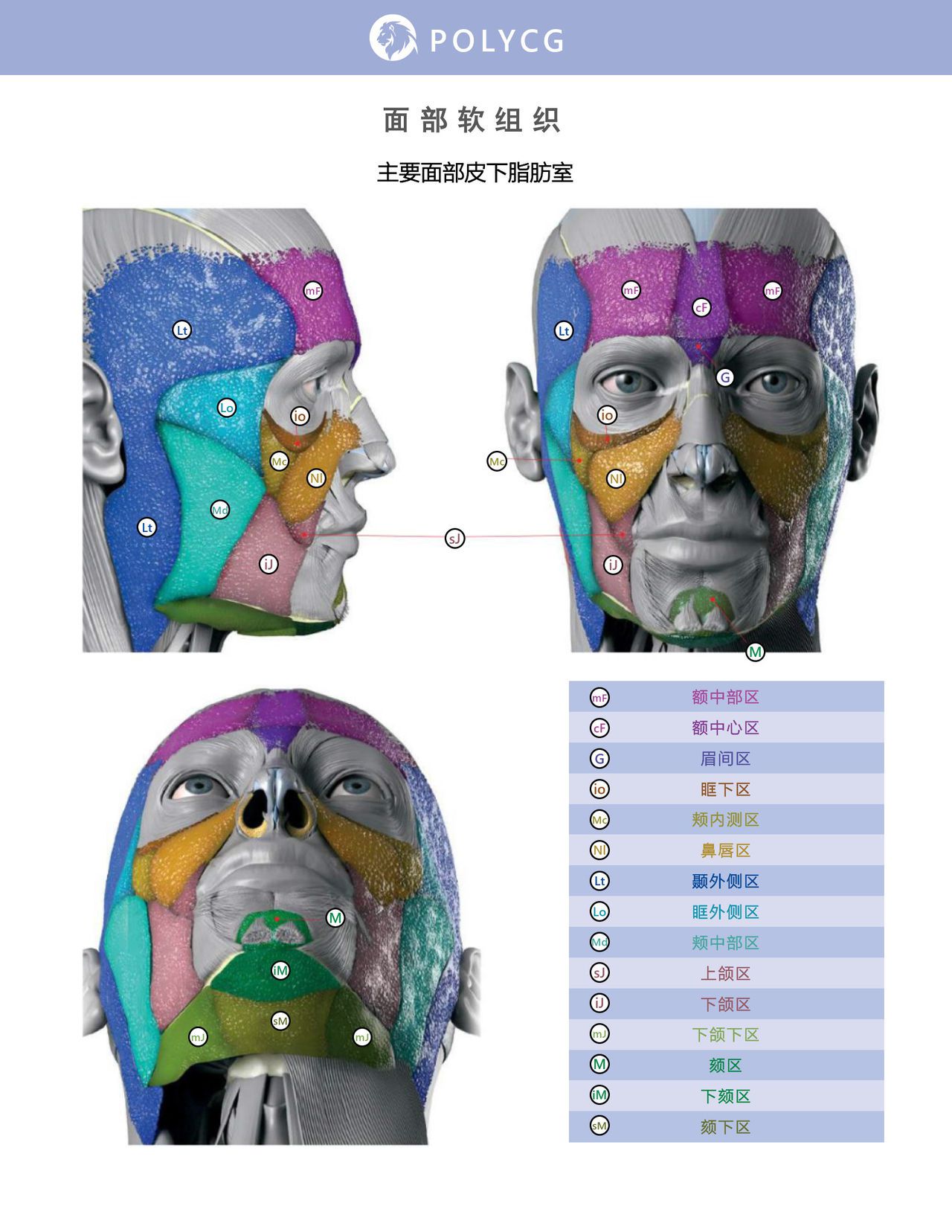 Uldis Zarins-Anatomy of Facial Expression-Exonicus [Chinese] 面部表情艺用解剖 [中文版] 131