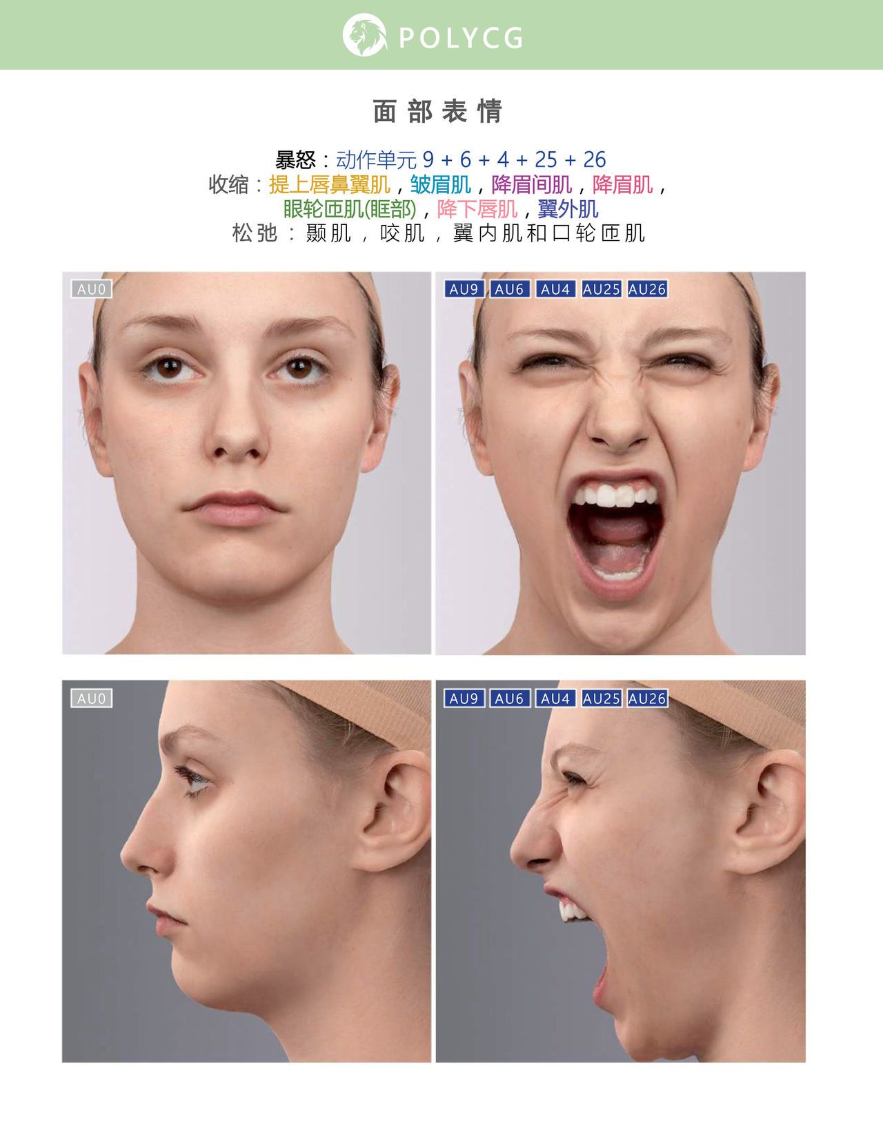 Uldis Zarins-Anatomy of Facial Expression-Exonicus [Chinese] 面部表情艺用解剖 [中文版] 148