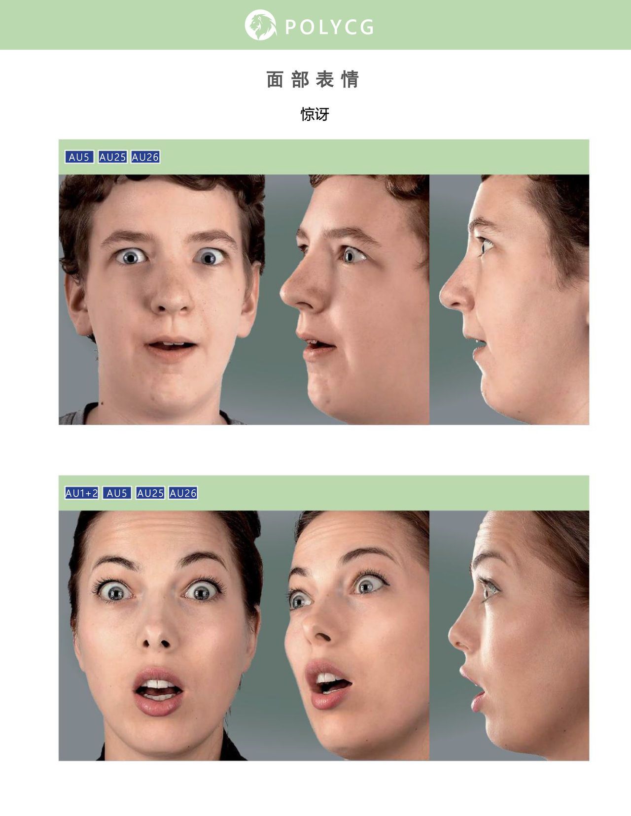 Uldis Zarins-Anatomy of Facial Expression-Exonicus [Chinese] 面部表情艺用解剖 [中文版] 163