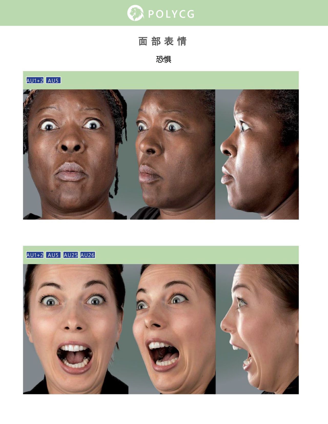 Uldis Zarins-Anatomy of Facial Expression-Exonicus [Chinese] 面部表情艺用解剖 [中文版] 166