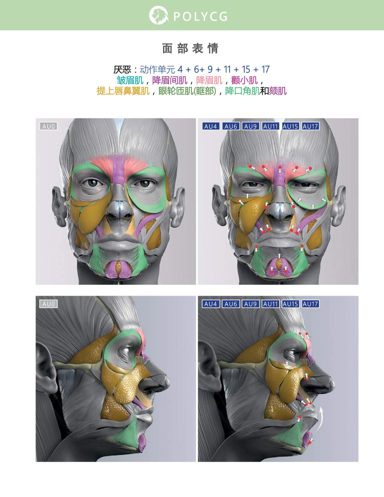 Uldis Zarins-Anatomy of Facial Expression-Exonicus [Chinese] 面部表情艺用解剖 [中文版] 173