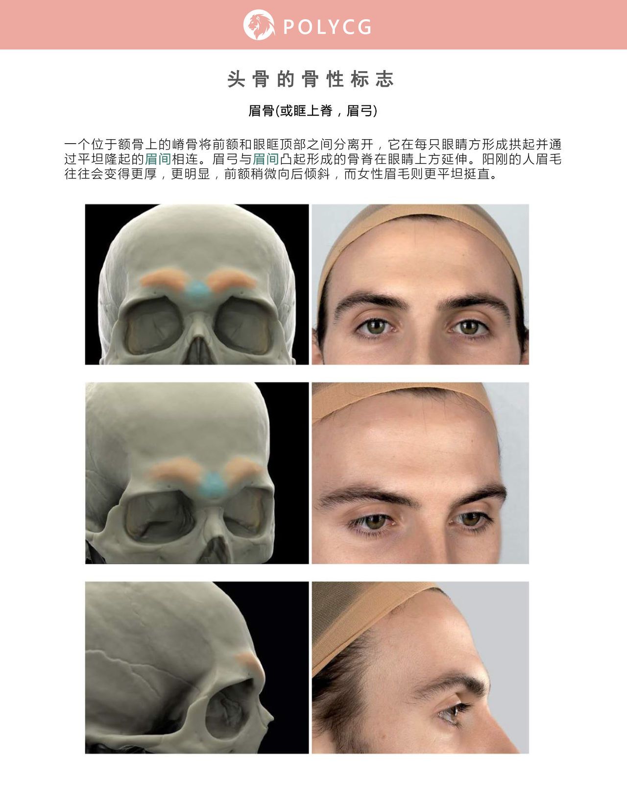 Uldis Zarins-Anatomy of Facial Expression-Exonicus [Chinese] 面部表情艺用解剖 [中文版] 18