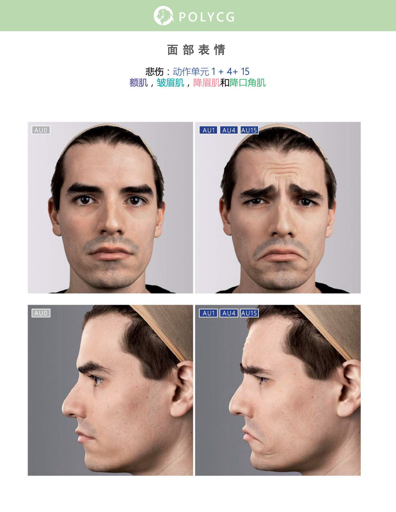 Uldis Zarins-Anatomy of Facial Expression-Exonicus [Chinese] 面部表情艺用解剖 [中文版] 180