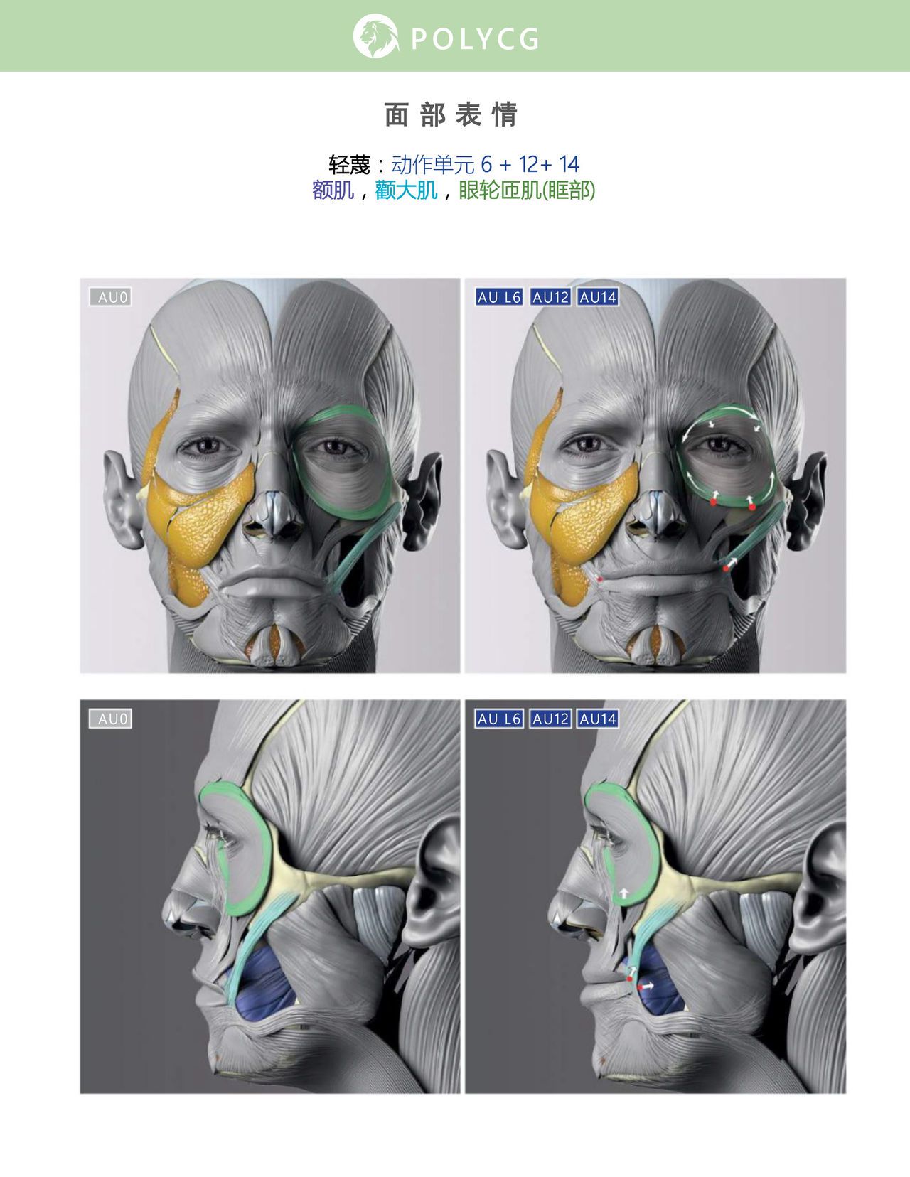 Uldis Zarins-Anatomy of Facial Expression-Exonicus [Chinese] 面部表情艺用解剖 [中文版] 189