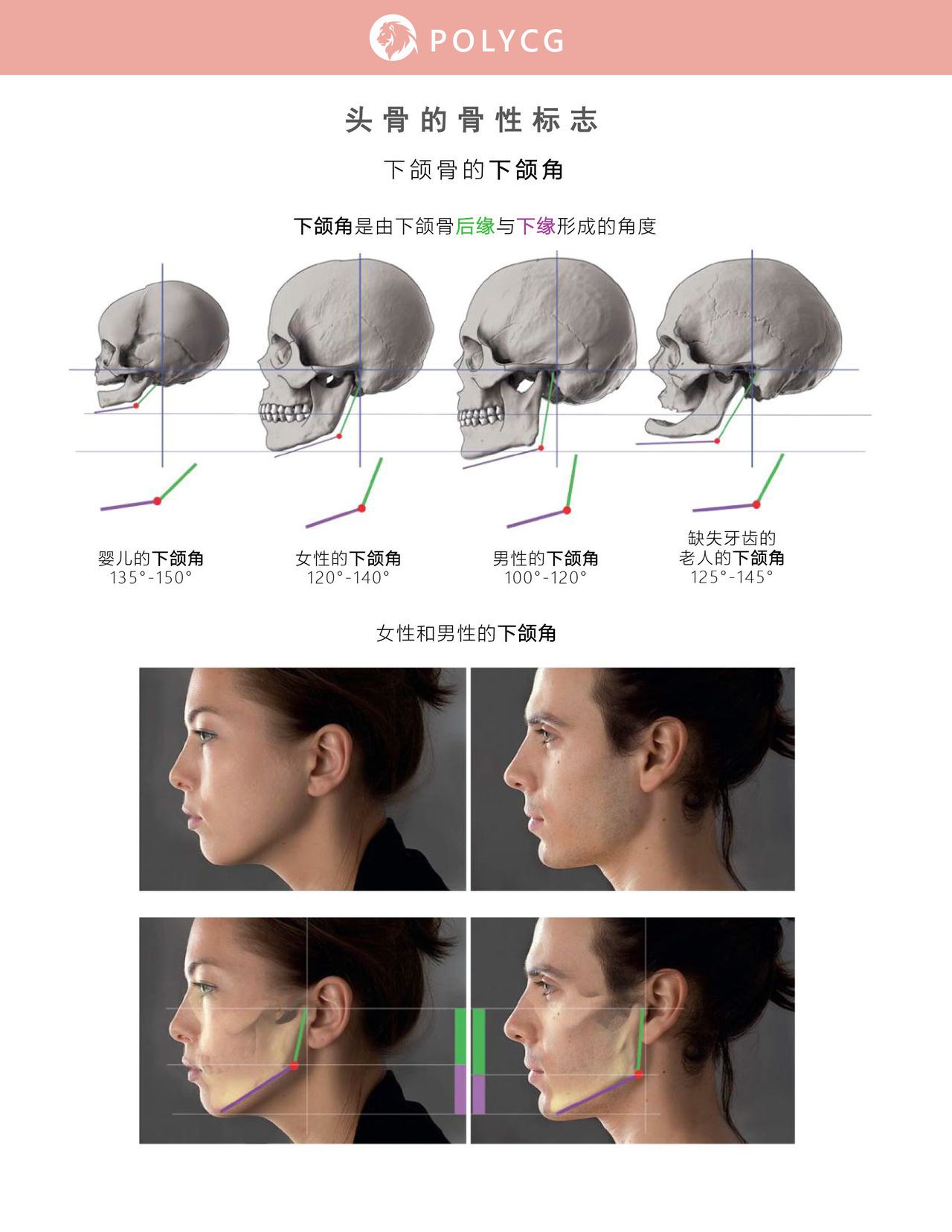 Uldis Zarins-Anatomy of Facial Expression-Exonicus [Chinese] 面部表情艺用解剖 [中文版] 28