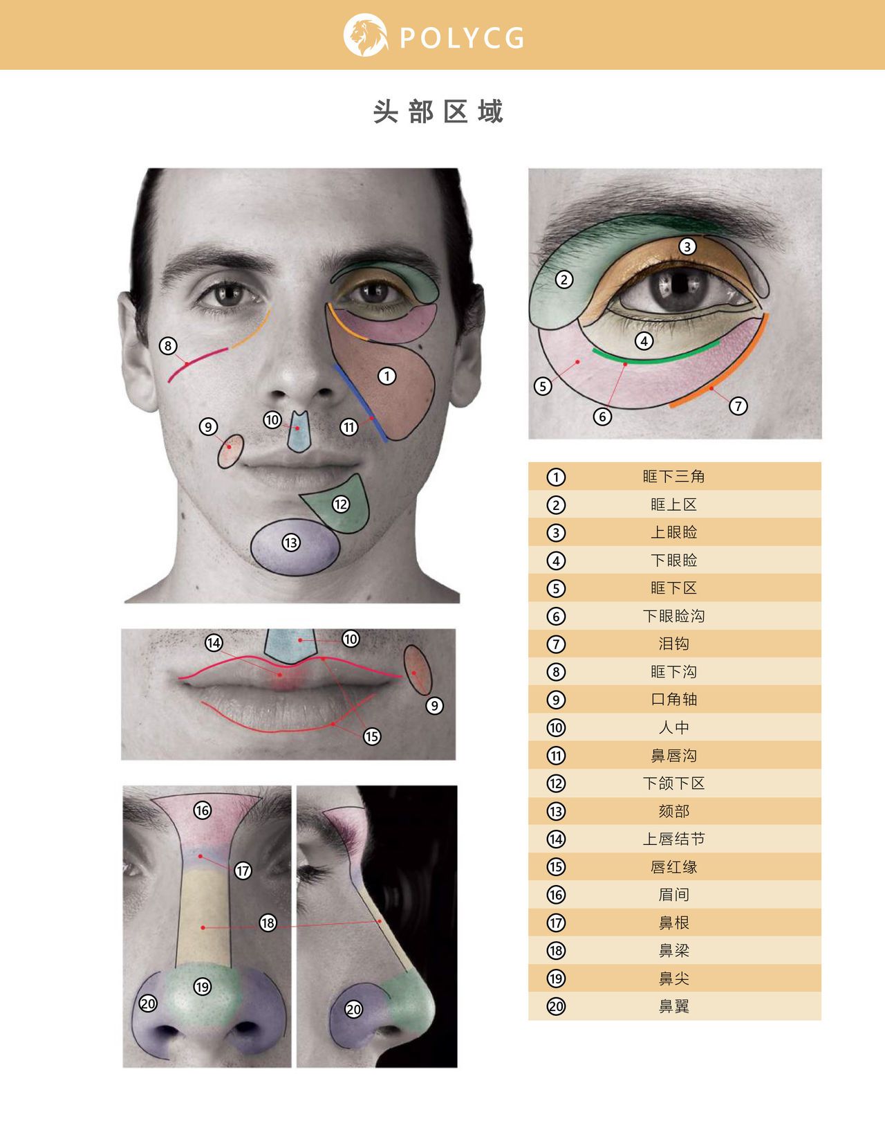 Uldis Zarins-Anatomy of Facial Expression-Exonicus [Chinese] 面部表情艺用解剖 [中文版] 53